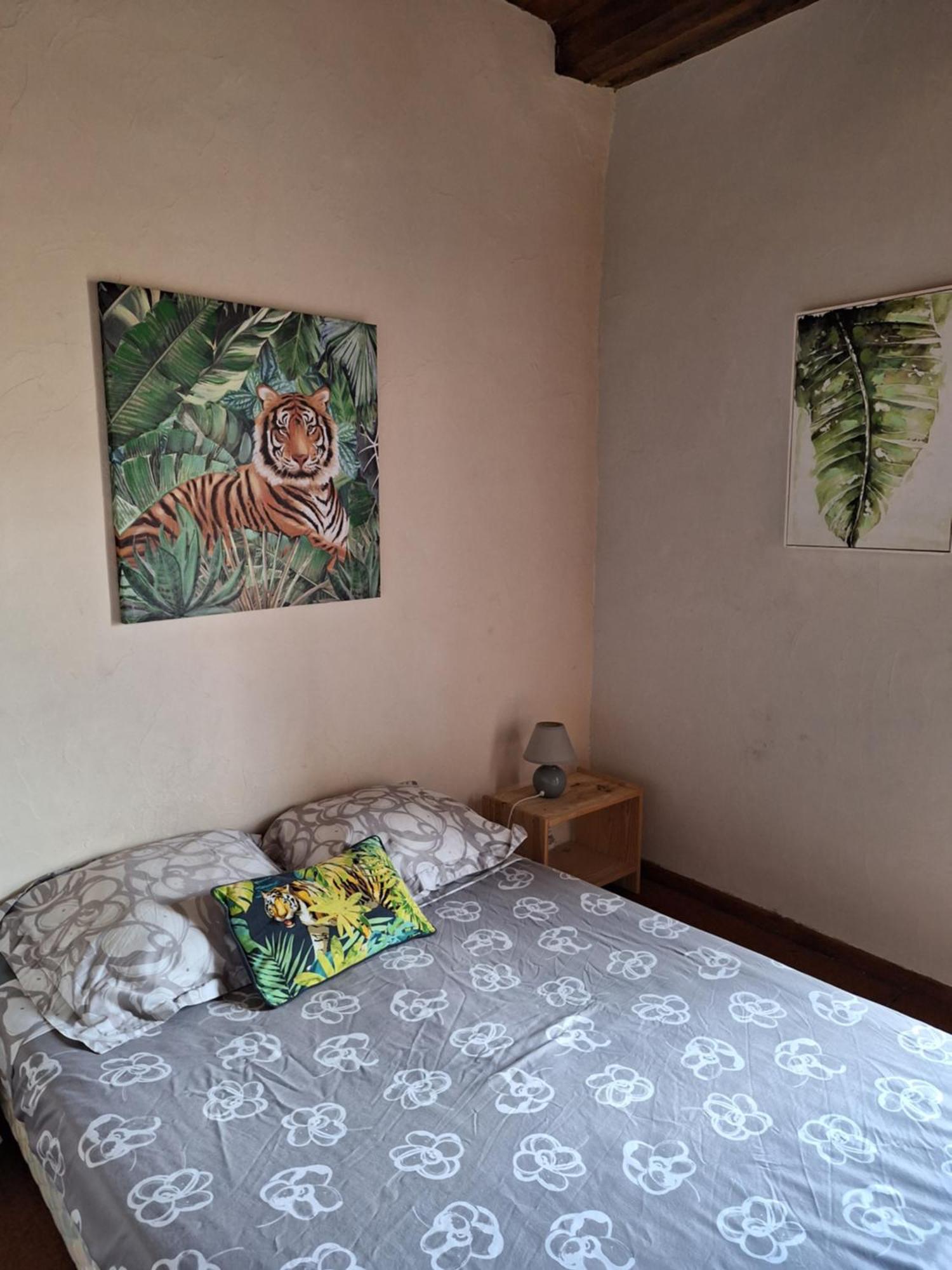 Maison Au Village Du Livre Montolieu Екстер'єр фото